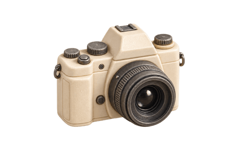 Ivory camera miniature